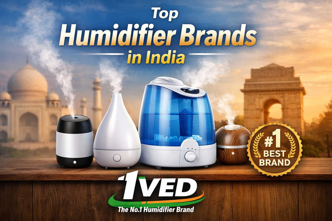 Top Humidifier Brands in India