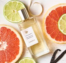 Grapefruit Water Soluble Fragrance | 1Ved