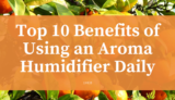 Top 10 Benefits of Using an Aroma Humidifier Daily