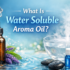 Ayurvedic Diffuser Aroma
