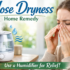 Top Humidifier Brands in India