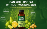 Can You Lose Fat Without Working Out