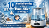 10 Health Benefits of Using a Humidifier in Winter