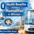 How Often Should a Humidifier Be Used?