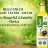 Benefit of Olive Extractor Oil