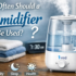 Cool Mist Humidifier India