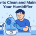 Humidifier Vs. Dehumidifier: What’s the Difference?