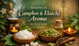 Benefits of Camphor & Elaichi Aroma in Ayurveda