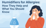 Humidifiers for Allergies: How They Help and What You Should Know