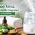 Aroma Oil for Home Diffuser