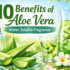 Aloe Vera Aroma Fragrance: Uses, Benefits & Applications