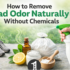 Best Places to Keep a Wooden Diffuser in Your Home