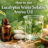 How to Use Peppermint Water Soluble Aroma Oil