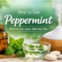 How to Use Nutmeg Water Soluble Aroma Oil Effectively