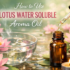 How to Use Clove Water Soluble Aroma Oil